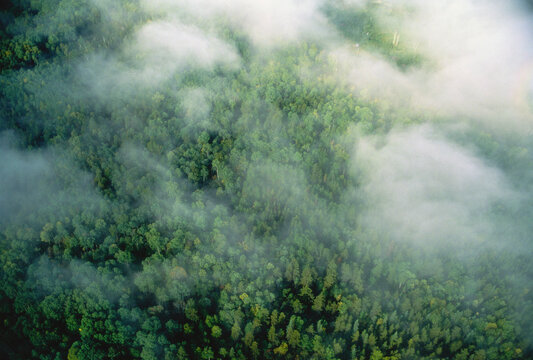 Aerial View of Forest Quebec, Canada