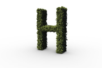 Letter h made of leaves