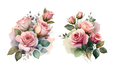 Watercolor pink roses flowers. Set of floral branch. Flower pink rose, green leaves. Wedding concept with flowers. Floral poster, invite. Vector.