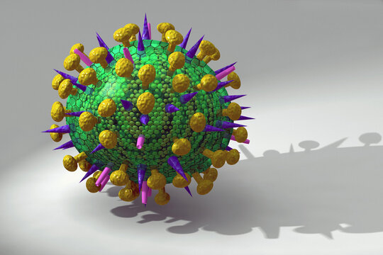 Avian Flu Virus