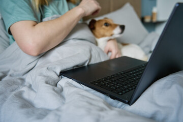 Woman with cute dog relaxing in bed at morning and use laptop. Comfortable work from home for freelancer. Spending time together, pet affection