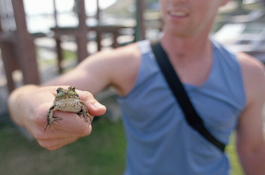Close-Up of Man Holding Frog in Hand Outdoors