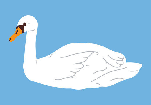 Vector illustration of cute cartoon swan for digital stamp,greeting card,sticker,icon, design
