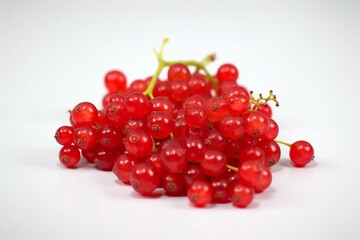 Red currant on a white background