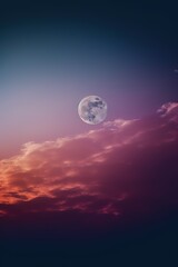 Fototapeta na wymiar the moon shines over the treetops in a pink sky