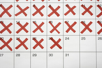 Calendar with X's up to the 24th