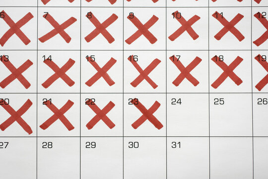 Calendar with X's up to the 24th