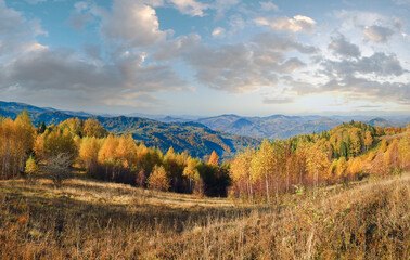 Sunny autumn mountain forest (on mountainside). Carpathians, Ukraine.