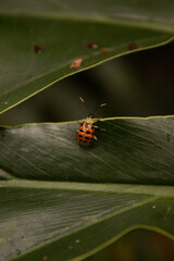 cliques de um sábado a tarde no parque abandonado da cidade. se olhar bem, tem beleza em qualquer lugar. 