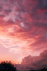 Obraz na płótnie Canvas pink clouds on a sky during sunset