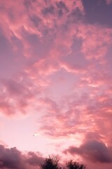 Fototapeta premium pink clouds on a sky during sunset