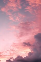 Fototapeta premium pink clouds on a sky during sunset