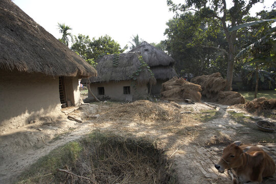 Namkhana Village, South 24 Parganas District, West Bengal, India