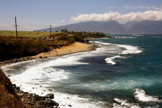 Shoreline at Hookipa Beach Park Maui Hawaii