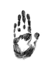 The handprint is black isolated on a white background..Taken to compare fingerprints.