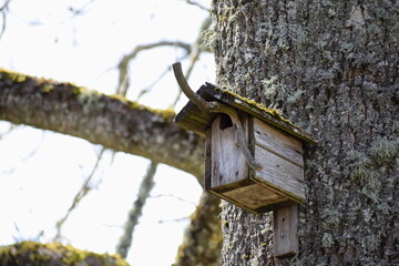 bird house in spring 