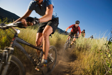 Group of Mountain Bikers on Dirt Trail, Near Steamboat Springs, Routt County, Colorado, USA