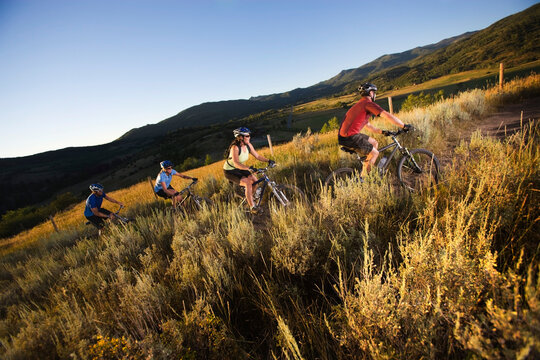 Group of Mountain Bikers on Dirt Trail, Near Steamboat Springs, Routt County, Colorado, USA
