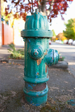 Green Fire Hydrant, Seattle, Washington, USA