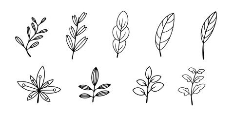 Decorative set of beautiful plants or branches with leaves for your creative designs