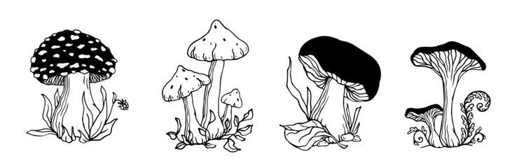 A set of sketches, doodles of forest mushrooms toadstools with leaves and grass.Vector graphics.