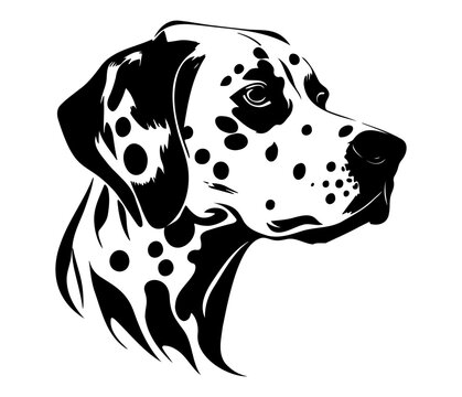 Dalmatian, Dalmatian Dog Face SVG, Black And White Dalmatian Vector