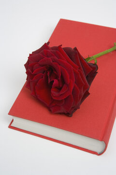 Rose On Book