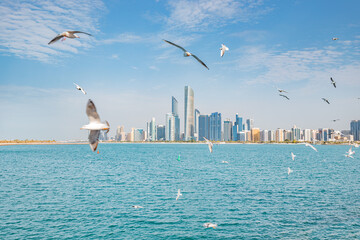 Fototapeta na wymiar Marvel at the towering skyscrapers of Abu Dhabi, and flock of seagulls flying by