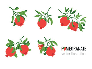 Isolated set of vector  hand drawn pomegranate branches. Fruit print. Sketch Exotic tropical juicy fruit, pomegranate with leaves and flowers. Vector cartoon simple style illustration. Doodle pattern