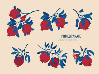 Isolated set of vector  hand drawn pomegranate branches. Fruit print. Sketch Exotic tropical juicy fruit, pomegranate with leaves and flowers. Vector cartoon simple style illustration. Doodle pattern