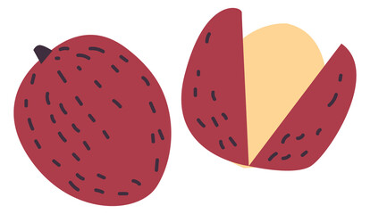 Hazelnut icon. Shell nut in hand drawn style