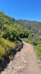 Fototapeta na wymiar Beautiful and green hiking views in Zuma Canyon in Malibu, California, seeing lush green plants, wildflowers, and Zuma Canyon Falls in the Santa Monica Mountains.