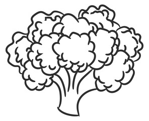 Broccoli doodle. Healthy vegetable drawing. Fresh food