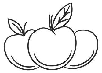 Apples line icon. Hand drawn ripe fruit