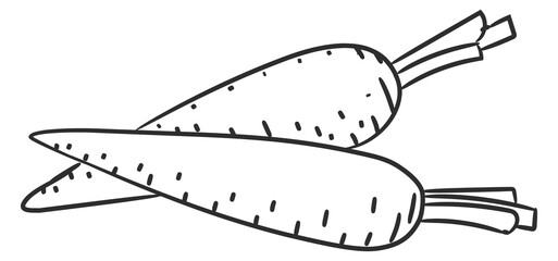 Carrot doodle icon. Vegetable root. Raw food