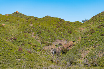 Fototapeta na wymiar Beautiful and green hiking views in Zuma Canyon in Malibu, California, seeing lush green plants, wildflowers, and Zuma Canyon Falls in the Santa Monica Mountains.