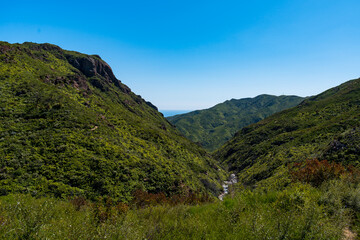 Naklejka premium Beautiful and green hiking views in Zuma Canyon in Malibu, California, seeing lush green plants, wildflowers, and Zuma Canyon Falls in the Santa Monica Mountains.