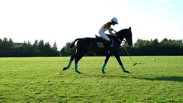 Caucasian sportswoman riding on breed horse enjoying polo hobby practicing during summer day on nature environment, active Equestrianism for dressage champion stallion and play sportive game