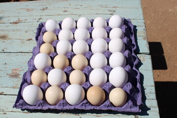 Ranch Baja California Chicken Eggs Natural
