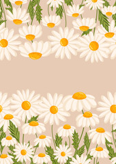 Fototapeta na wymiar Seamless pattern for postcard or poster with daisies. Chamomile vector floral illustration for congratulations or decor etc. Flowers for spring and summer holidays. Festive template can add text.