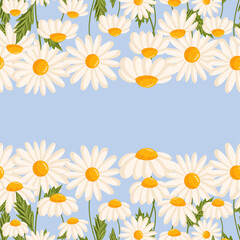 Seamless pattern for postcard or poster with daisies. Chamomile vector floral illustration for congratulations or decor etc. Flowers for spring and summer holidays. Festive template can add text.