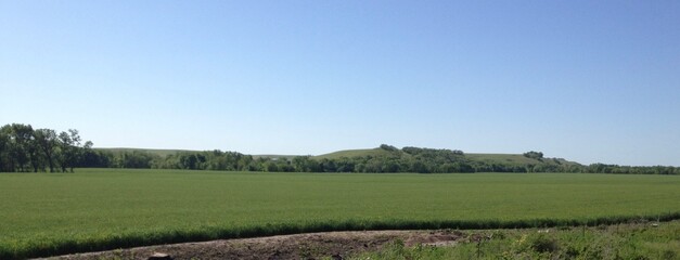 Growing wheat in the Flint Hills of Kansas