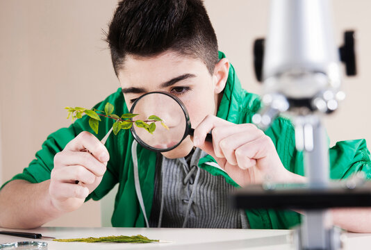 Boy Examining Leaves with Magnifying Glass, Mannheim, Baden-Wurttemberg, Germany