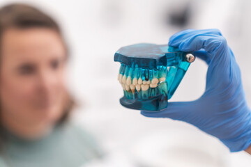 Fototapeta na wymiar Dentist and patient discussing treatment plan looking at a dental teeth jaw model. 