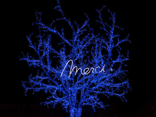 Christmas and New Year decorations at a traditional Advent fair in Strasbourg, France. French caption in English translation: Thank you