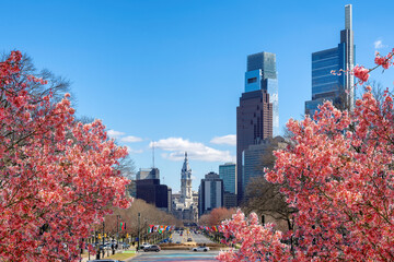 Philadelphia skyline with spring cherry blossoms flowers in spring sunny day, Philadelphia, Pennsylvania.