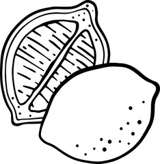 Outline hand drawing vector illustration of lemon. Exotic fruit. Isolated elements for design.