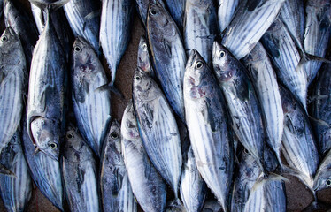 Obraz premium flat lay of fresh fish on the market