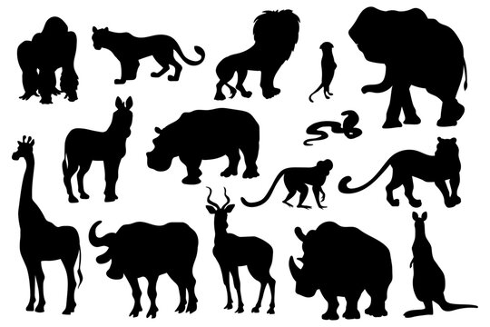 Set of African savannah wild animals silhouettes. Vector graphics.