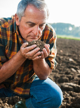 Close-up of farmer working in field, holding and smelling soil in hands, Germany